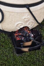 Tandira pelnu kaste - Image 2